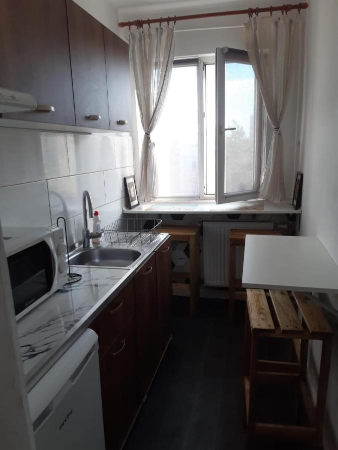 Apartamentul Lui Matei 康斯坦察 外观 照片