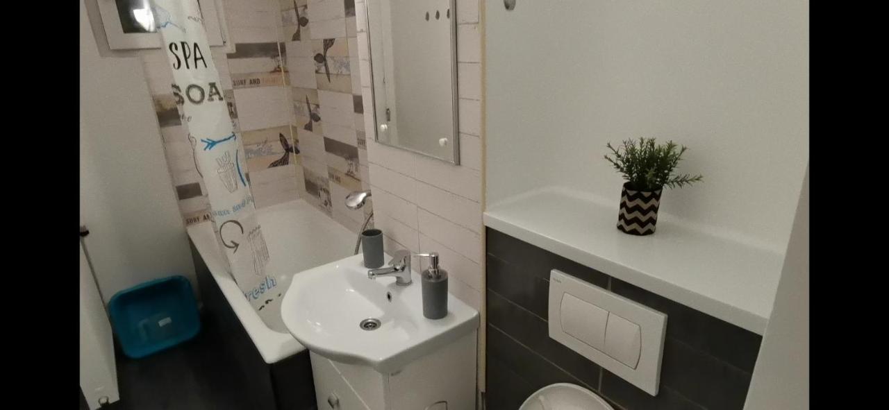 Apartamentul Lui Matei 康斯坦察 外观 照片
